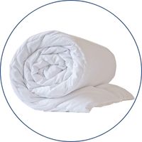 Duvet Insert