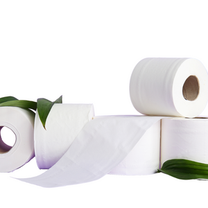 Soft Nature 2-Ply Toilet Tissue – SN-690, 500 Sheets/Roll, 96 Rolls/Case