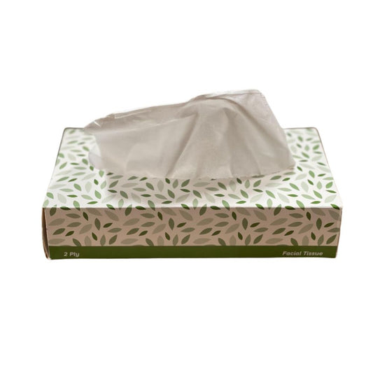 Facial Tissue, Premium 2 - Ply - Soft & Durable, 100 Sheets per Box, 72 Boxes per Case