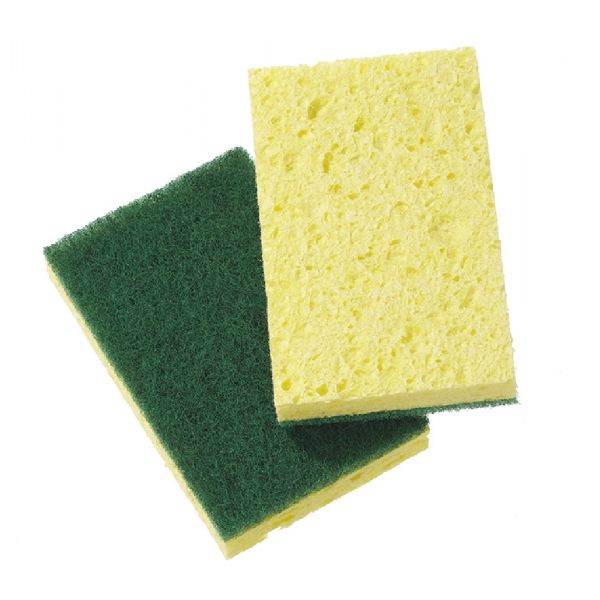 Cellulose Sponge (Green) Pacific Oasis